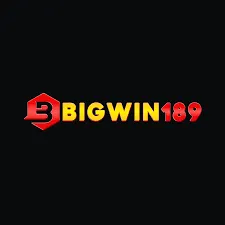BIGWIN189 - Pertarungan Seru untuk Para Pecinta Game Fighting